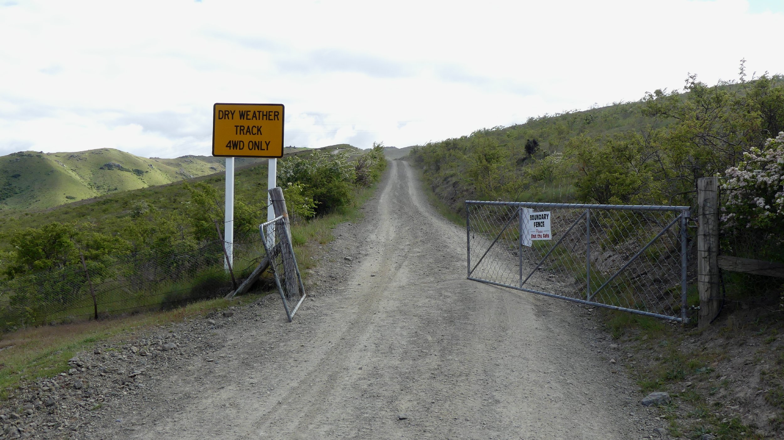 2024_NZ_SI_272.JPG