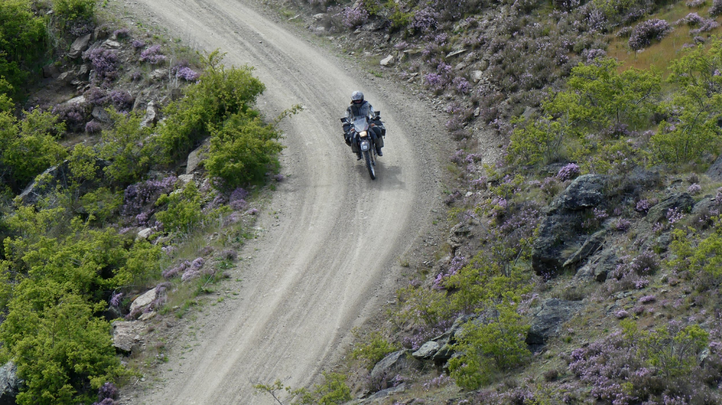 2024_NZ_SI_276.JPG