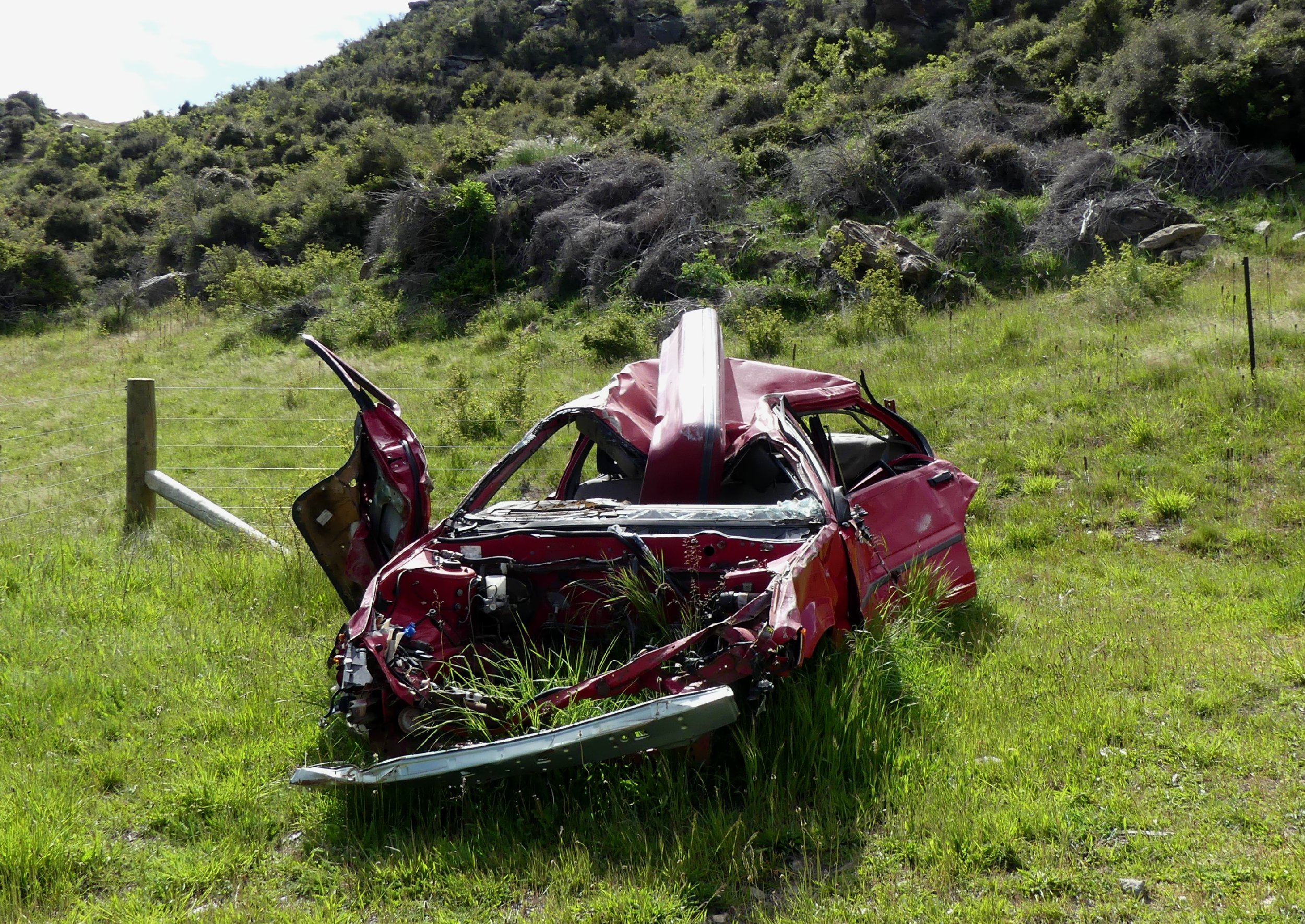 2024_NZ_SI_278.JPG