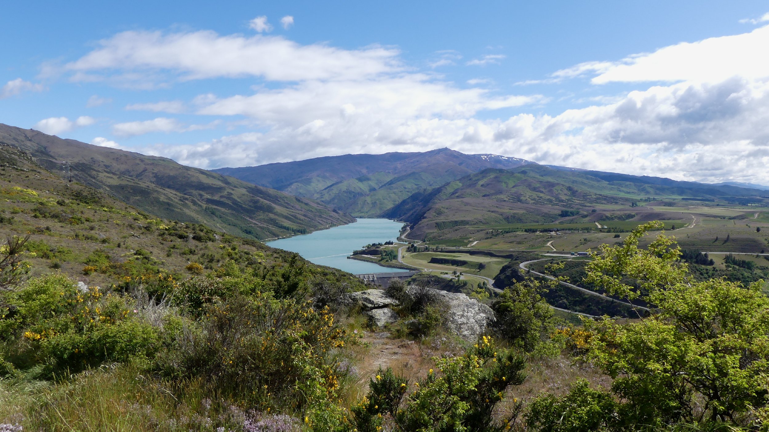 2024_NZ_SI_282.JPG