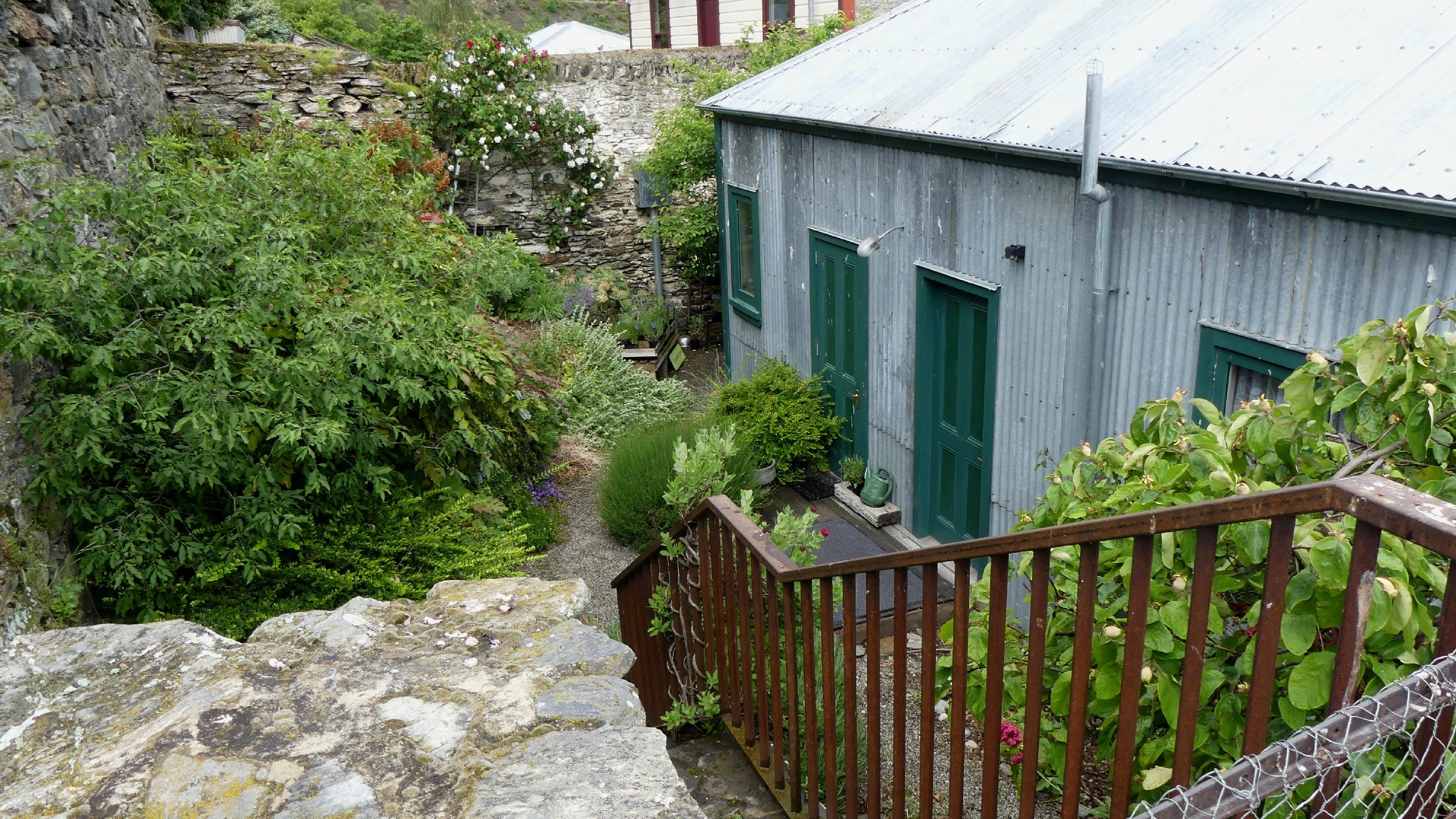 2024_NZ_SI_292.JPG