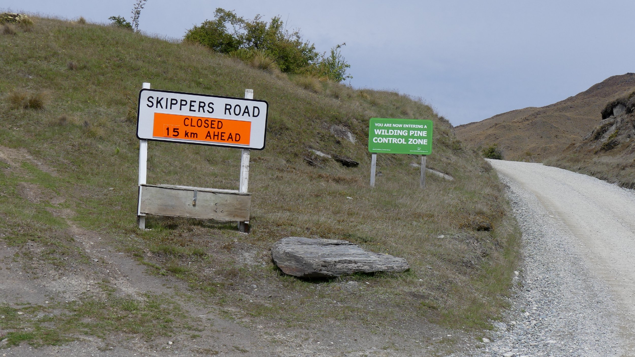 2024_NZ_SI_298.JPG