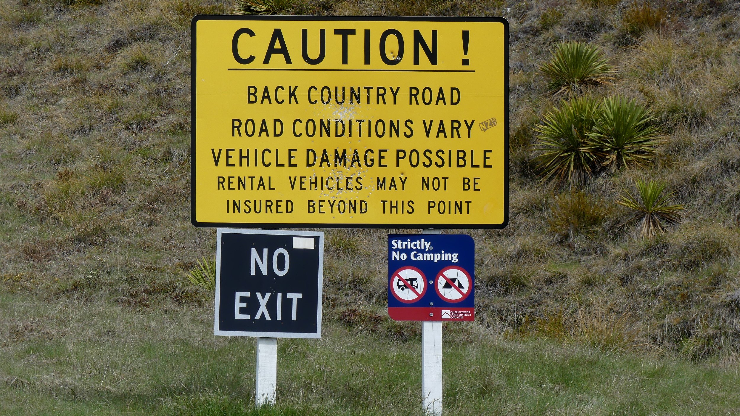 2024_NZ_SI_299.JPG