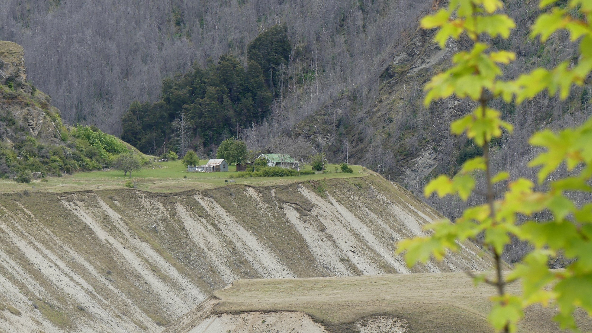2024_NZ_SI_312.JPG
