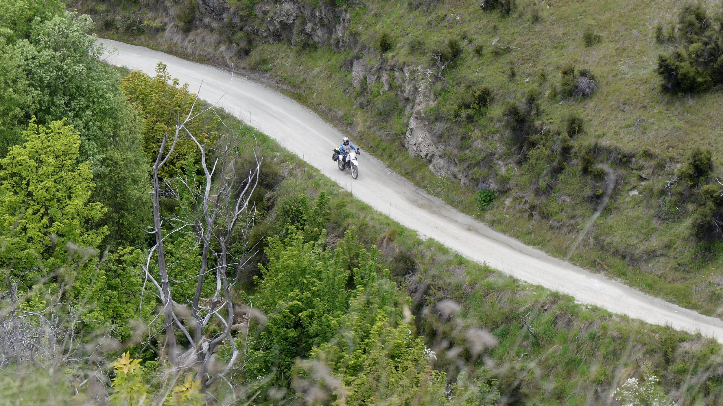 2024_NZ_SI_313.JPG