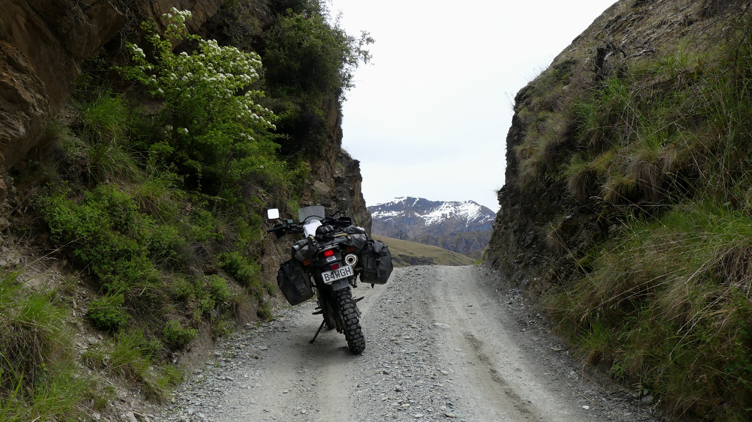 2024_NZ_SI_314.JPG