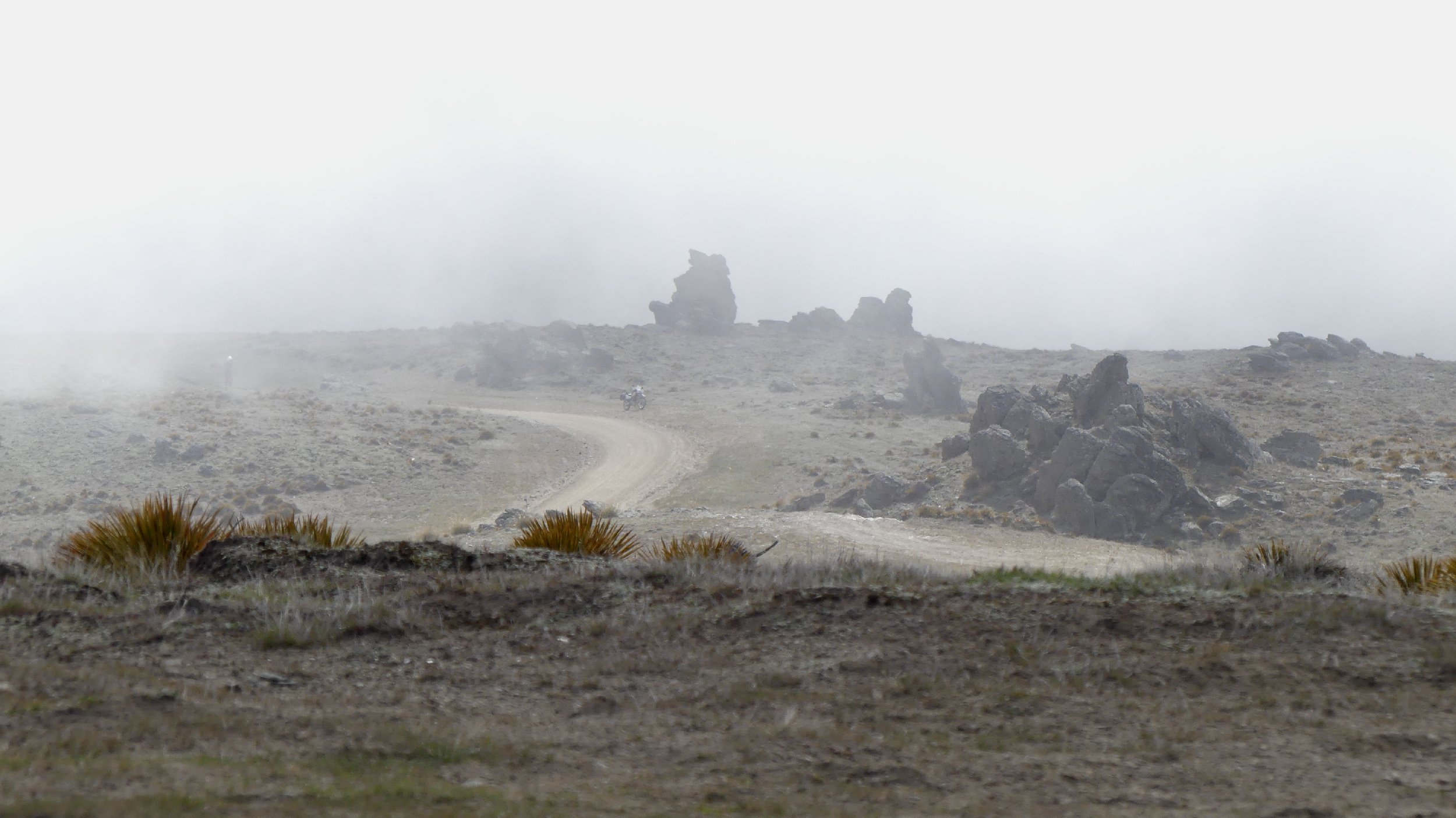 2024_NZ_SI_323.JPG