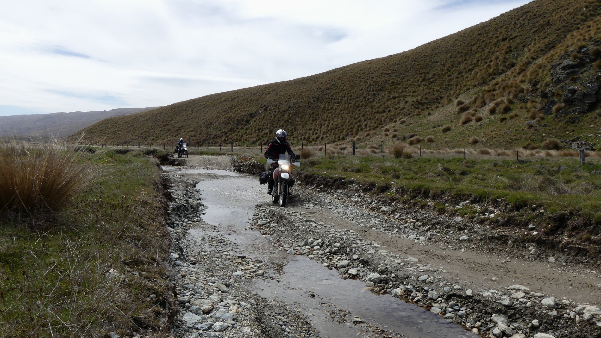 2024_NZ_SI_339.JPG
