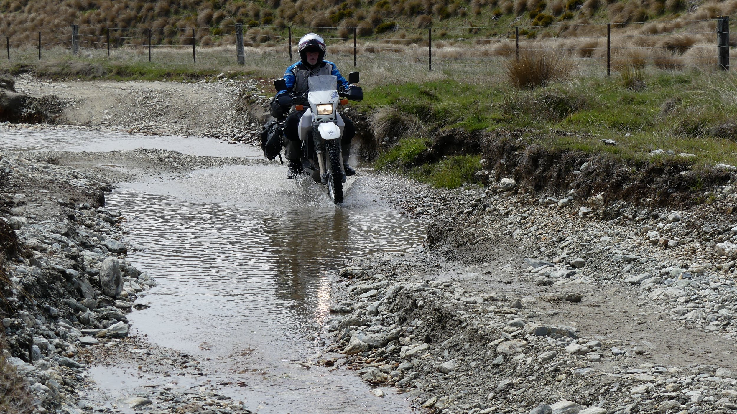 2024_NZ_SI_340.JPG