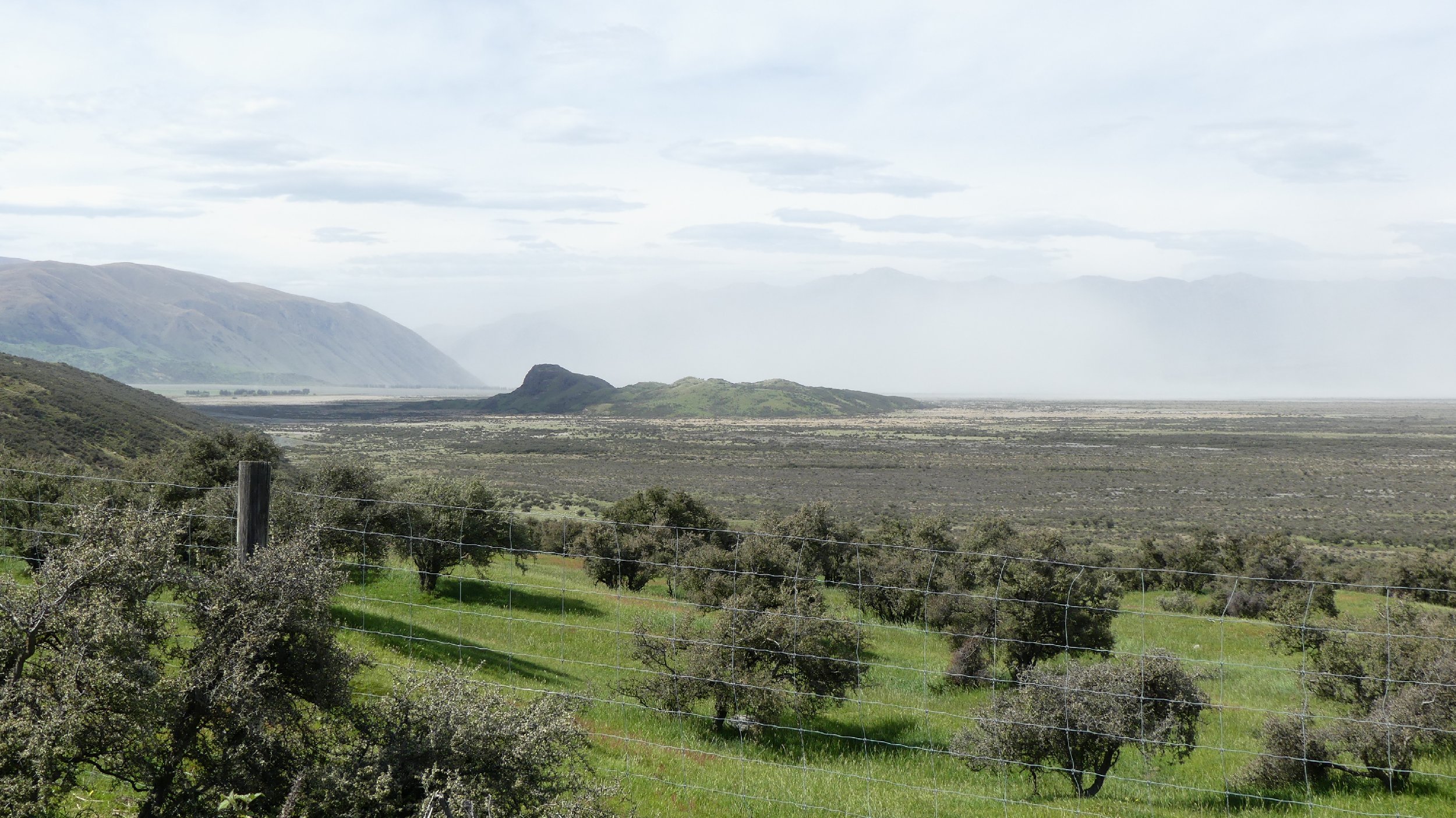 2024_NZ_SI_455.JPG