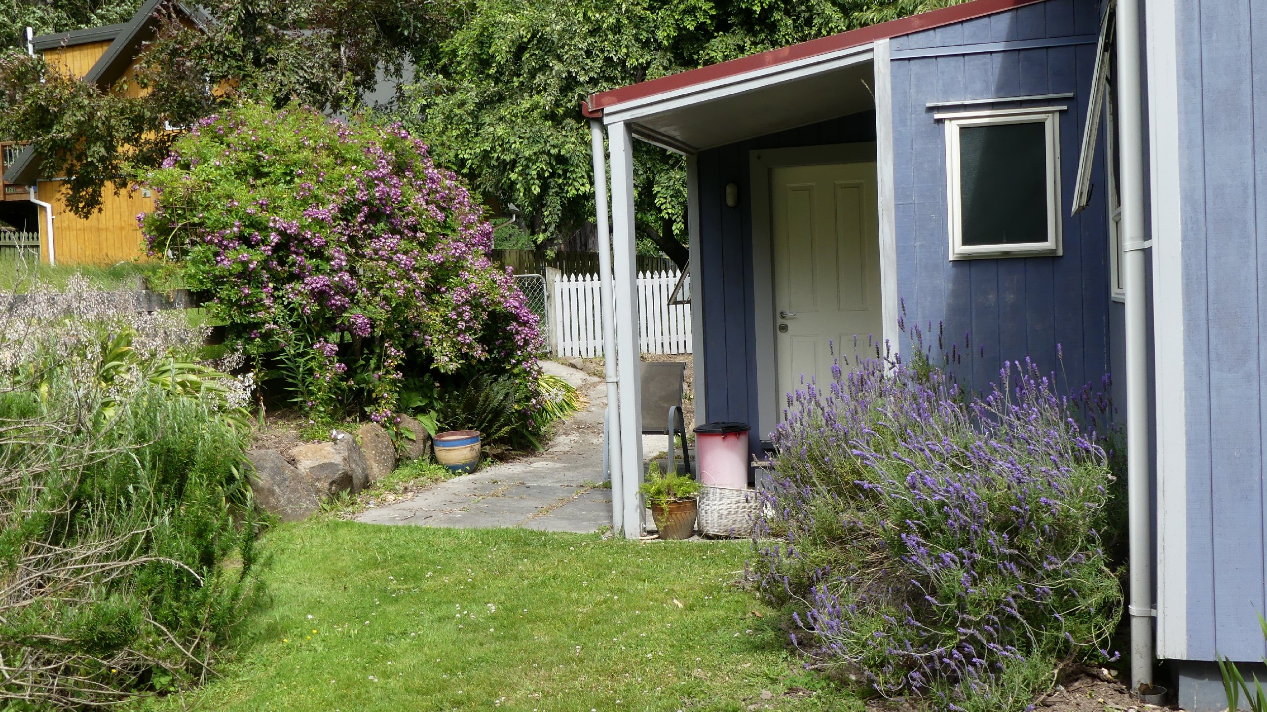 2024_NZ_SI_459.JPG