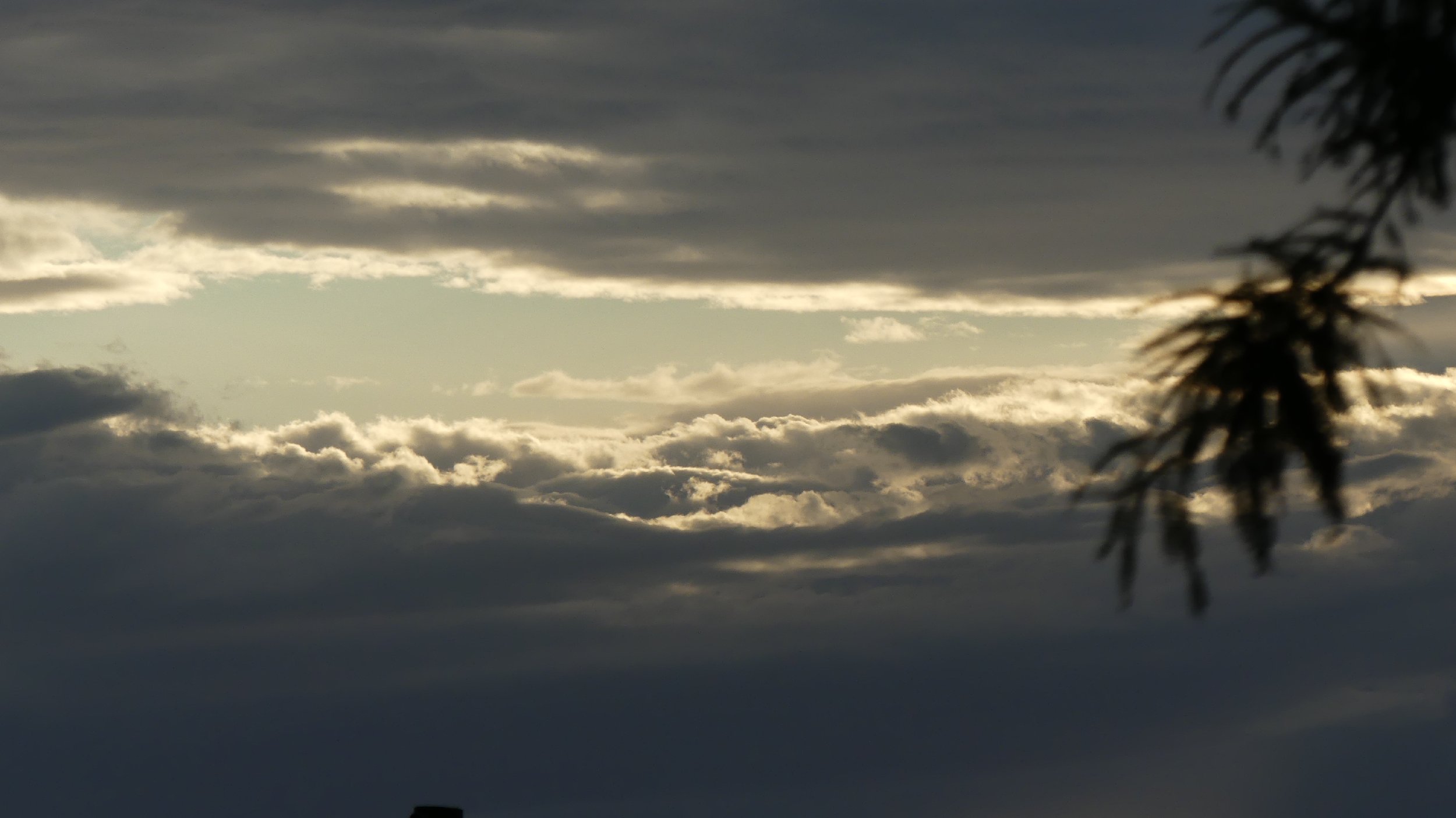 2024_NZ_SI_460.JPG