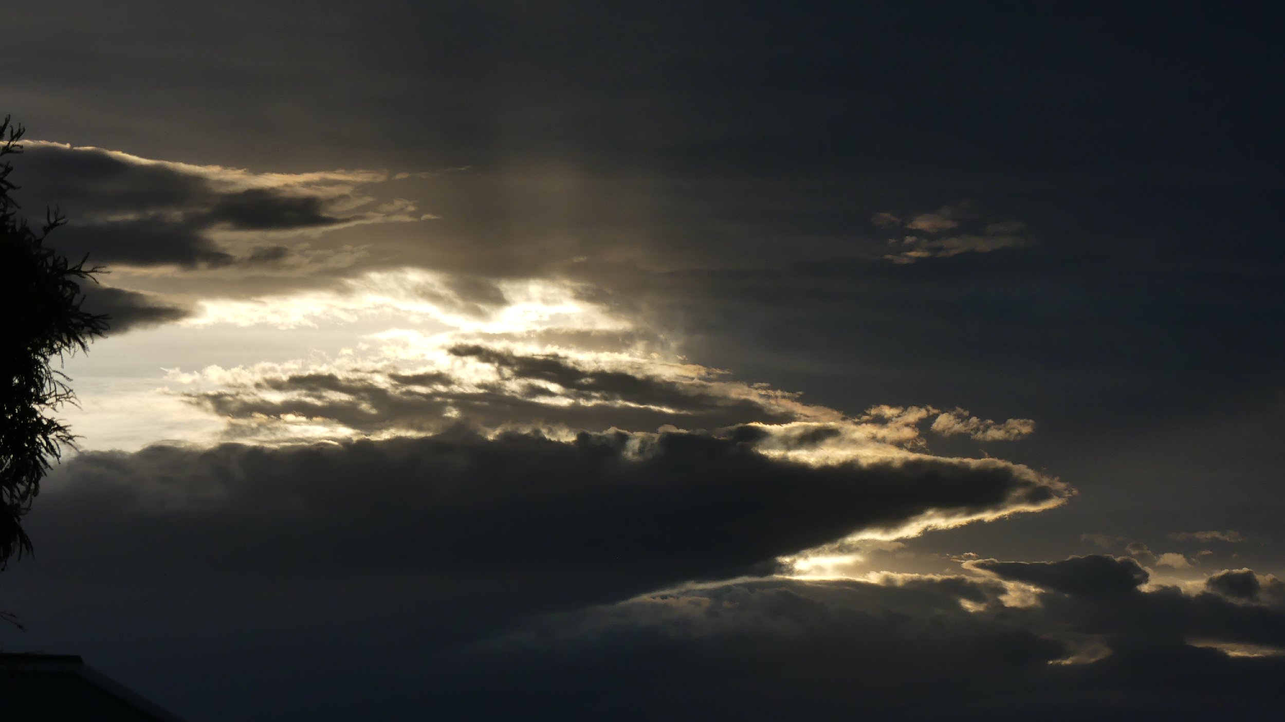 2024_NZ_SI_464.JPG