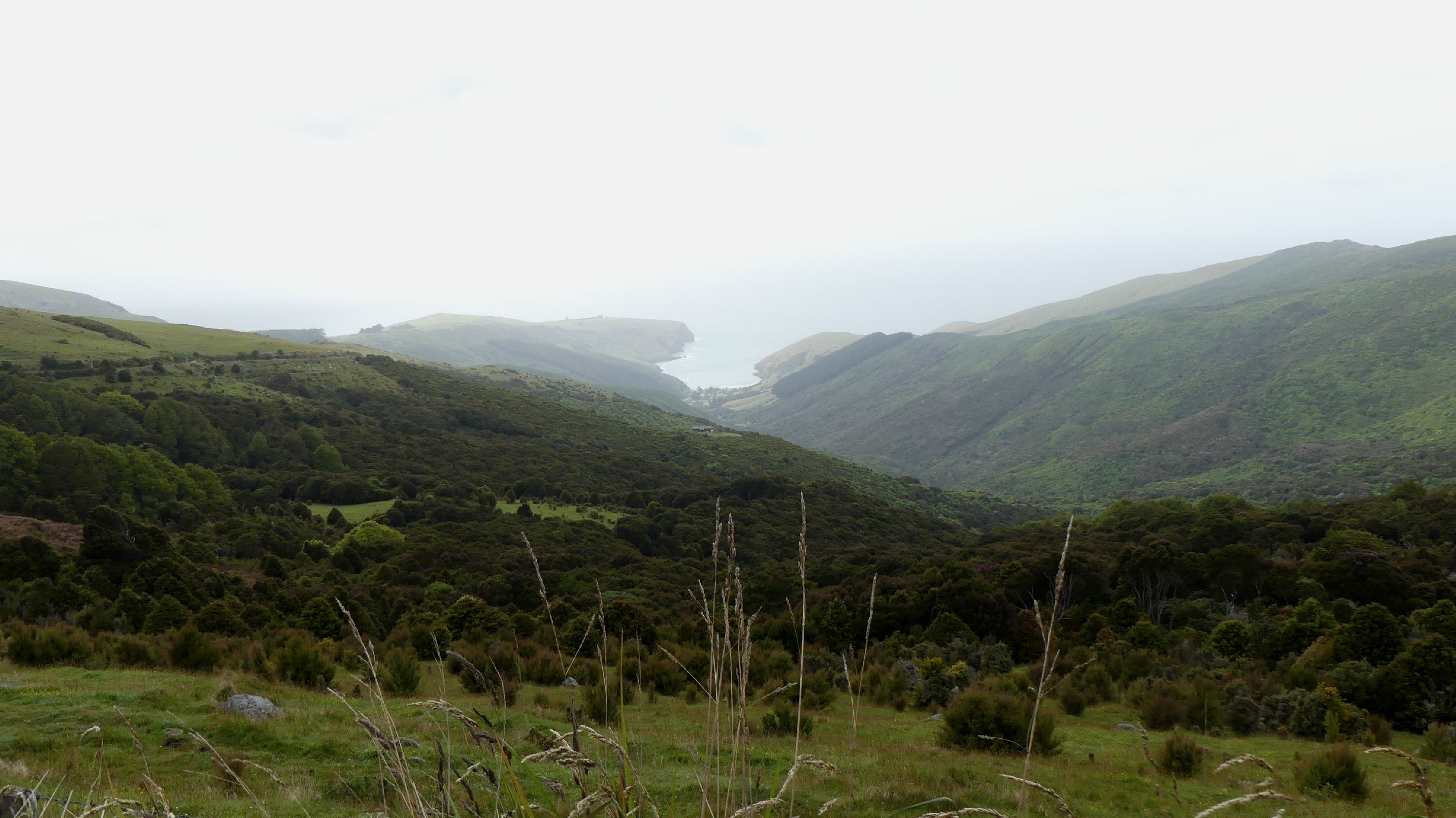2024_NZ_SI_465.JPG