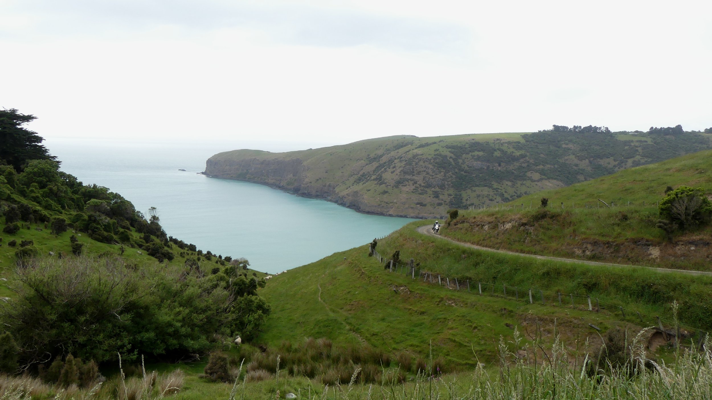 2024_NZ_SI_467.JPG